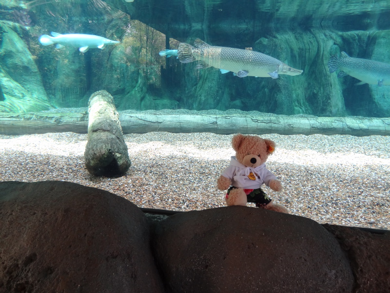 Singapore - May 2019